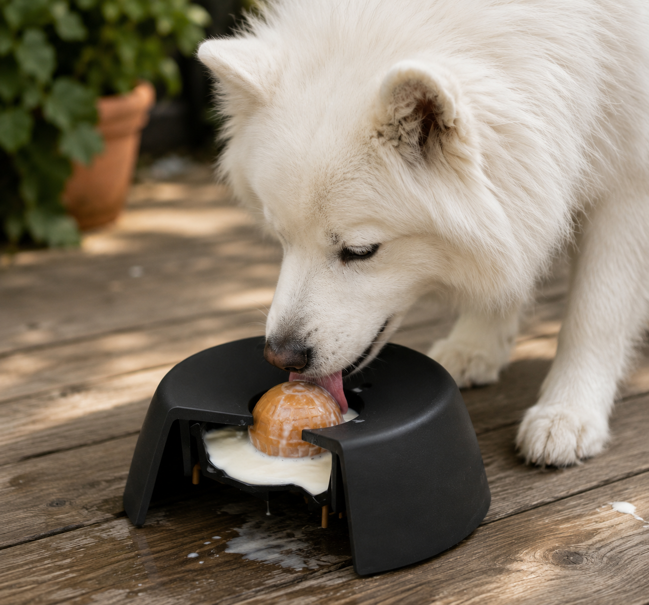 ToutouZen® - Le Bol Anti-Stress pour Chien